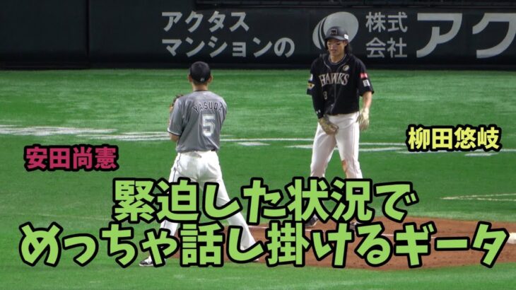 ソフトバンクホークス柳田悠岐が少年の顔を😂試合にめっちゃ集中してる安田尚憲にびっくりするくらい話しかけるの巻🤣2023.5.27