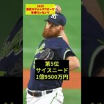 【2023】東京ヤクルトスワローズ年俸ランキング【プロ野球】#shorts