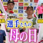 【母の日】ピンクバットで#佐藤輝明 選手が大暴れ！！「NPBマザーズデー」は選手たちが「ピンク」の道具を身に着け快勝！”最高”の1日の裏側を全国のお母さんに、#TORACO にお届けします！