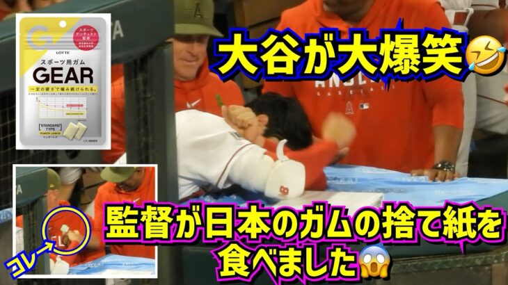 大爆笑‼️ネビン監督が日本のガムの捨て紙を食べちゃった😱大谷が笑い転げる🤣【現地映像】ShoheiOhtani Angels