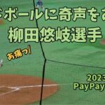 死球に奇声をあげるソフトバンクホークス柳田悠岐🥲杉浦稔大に少し不機嫌な態度をみせる(T . T)2023.5.11⚾️ホークス対日本ハム