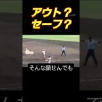 審判は神様や！ #ホームラン #プロ野球 #阪神タイガース#高校野球　#光星学院　#大阪桐蔭 #読売ジャイアンツ #ボーイズリーグ #横浜denaベイスターズ