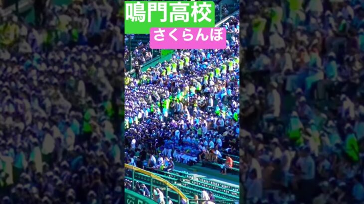 【さくらんぼ】鳴門高校 応援 阪神甲子園球場 #shorts #さくらんぼ #応援図鑑