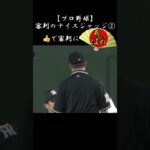 【野球】審判も大変。。。審判のナイスジャッジ② #野球 #プロ野球   #shorts #巨人