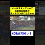 【世界の小林】オールスターゲームで生まれた伝説のホームランがこちらｗｗｗ【プロ野球】【なんｊ】【２ｃｈ】【反応集】　#shorts