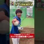 えんどれすとボール回転数対決！！ #プロ草野球 #ベーチャン #野球 #shorts