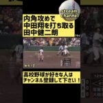 内角攻めで中田翔を打ち取る田中健二朗【高校野球】