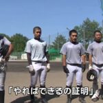 高遠高校野球部