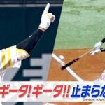 ギータ！ギータ!!　止まらない！【スポーツキラリ★】