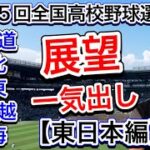 【東日本】一気にザックリ展望します！北海道・東北・関東・東京・北信越・東海まで【第105回全国高校野球選手権大会】