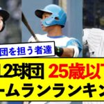 【球団の未来】12球団 25歳以下ホームランランキング【野球ネタまとめ】