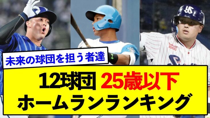 【球団の未来】12球団 25歳以下ホームランランキング【野球ネタまとめ】