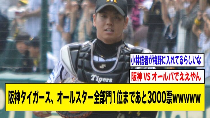 阪神・梅野、オールスター票1位の巨人・大城に3000票差で猛追wwwwww【2ch 5ch野球】【なんJ なんG反応】