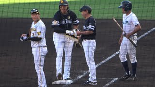 大竹耕太郎との対決😄ソフトバンクホークス柳田悠岐‼️17打席ぶりの爆音ヒット😄さらにヒットでマルチなシーン😄2023.6.17阪神対ホークス