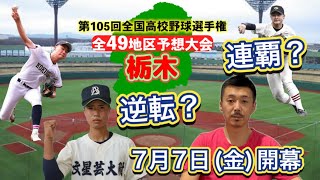 【栃木大会(19/49)】強打の作新学院連覇へ・文星芸大付の逆転は？昨年に続け國學院栃木・佐野日大の成長は・青藍泰斗も突き抜けたら・宇都宮商＆工も【第105回全国高校野球選手権大会】