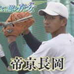 【注目校紹介③帝京長岡】2023夏の高校野球新潟大会 ～解き放て、思う存分。～