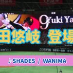 【柳田悠岐】2023年登場曲 ♪SHADES / WANIMA♪ 2023.06.23