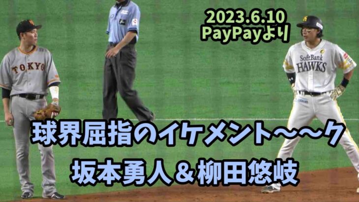 オーラが違う🥹ソフトバンク柳田悠岐がヒット後に坂本勇人と即お話タイム突入🩵2023.6.10⚾️ホークス対巨人