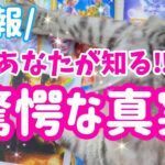 【40歳以上の貴方へ♡】豊かさが溢れました💗【あなたが知る👀驚愕の真実🚀】タイトルにピンと来た方はどなたでも🐾