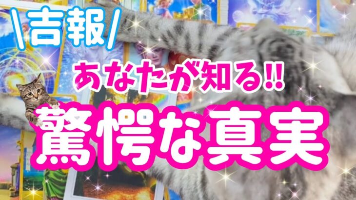 【40歳以上の貴方へ♡】豊かさが溢れました💗【あなたが知る👀驚愕の真実🚀】タイトルにピンと来た方はどなたでも🐾