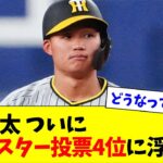 森下翔太、ついにオールスター投票4位に浮上wwww【なんJ反応】