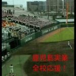 第65回NHK旗高校野球大会・準決勝・鹿児島実業の全校応援。