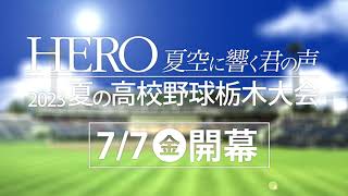 夏の高校野球栃木大会 7月7日開幕