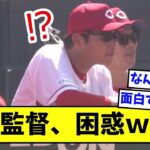 新井監督、困惑ｗｗｗｗｗｗ【なんJ反応】