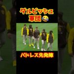 ダルビッシュ信者のメジャーリーガーたち😂 #Shorts   #baseball #野球  #珍プレー #mlb