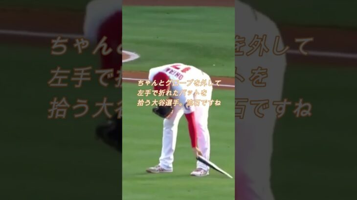 大谷翔平選手が 折れたバットを拾い、紳士的に相手の選手に優しく渡す姿に 全米の野球ファンが感動したそうです♪