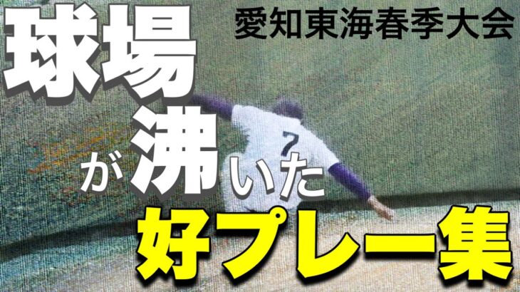 球場が沸いた好プレー集【愛知東海春季大会】【高校野球】