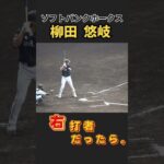 【ソフトバンク】柳田悠岐選手が右バッターだったら…甲子園ver.