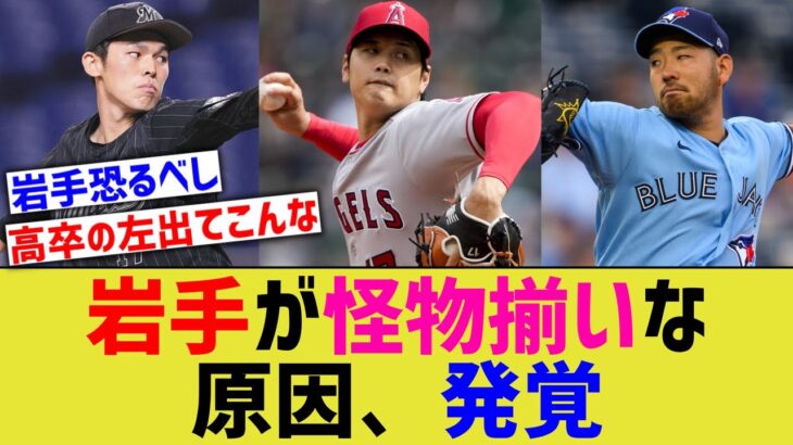 大谷佐々木朗を生み出した岩手、凄すぎるwww【なんJ なんG野球反応】【2ch 5ch】