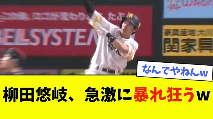 柳田悠岐、急激に暴れ狂うwwwwww【なんJ反応】