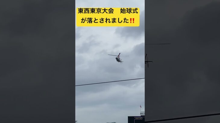 第105回全国高等学校野球選手権東西東京大会　始球式の球⚾️が　落とされました‼️