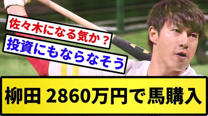 【金持ち確定な】柳田、2860万円で馬購入ｗｗｗｗｗｗ【反応集】【プロ野球反応集】【2chスレ】【5chスレ】