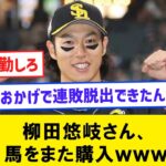 【ウマ男】柳田悠岐さん、馬をまた購入ｗｗｗ【なんJコメント付き】