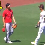 大谷にダルビッシュが近づいた次の瞬間・・大谷のしぐさに海外ファンも大絶賛！「なんて素晴らしいんだ」【shohei ohtani】