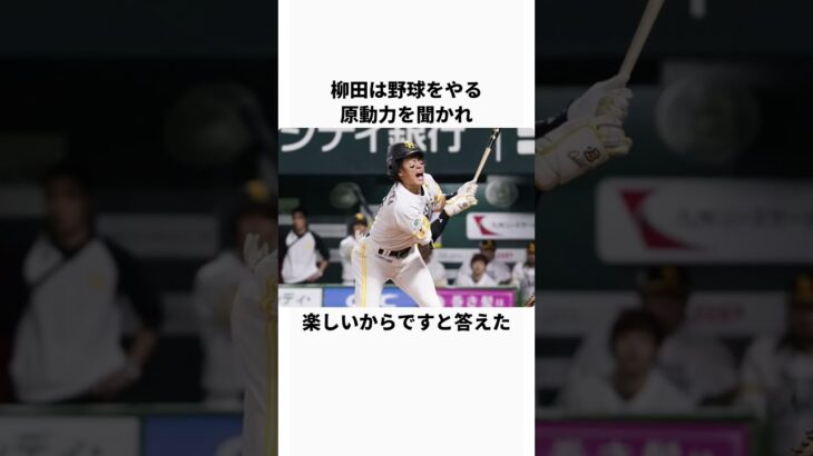 「柳田悠岐」に関するエピソード #プロ野球 #野球 #野球解説 #柳田悠岐