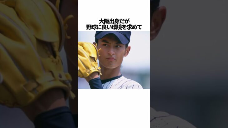 「ダルビッシュ有」に関する雑学 #野球 #ダルビッシュ有 #野球解説