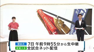 夏の高校野球宮城大会が７日に開幕　注目のウェルネス宮城と仙台一を紹介