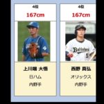 【大谷翔平の半分?!】プロ野球 低身長ランキング