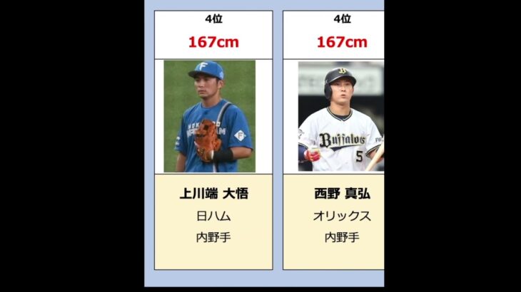 【大谷翔平の半分?!】プロ野球 低身長ランキング