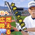 【優勝最有力登場】夏の高校野球記念広島大会４日目ダイジェスト