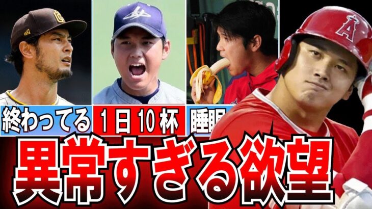 【大谷翔平】ダルビッシュもマジでドン引き！大谷翔平のヤバすぎた〇〇〇