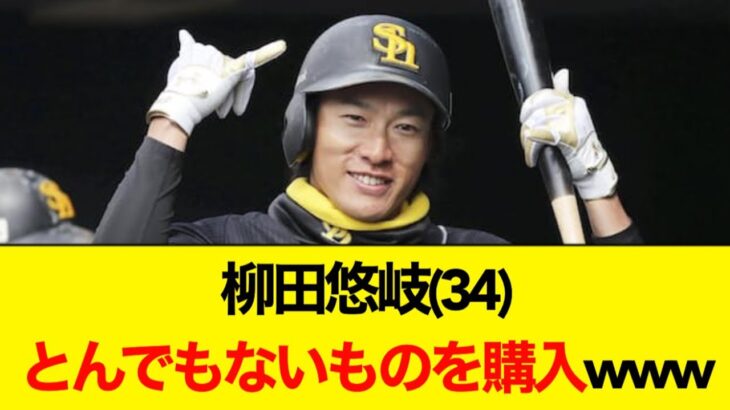 お値段なんと◯◯◯◯万円！柳田悠岐さんとんでもないものを購入した模様wwwww【なんJなんG反応】