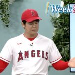 #11「1 Week Shohei」