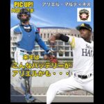 【コスパ最強】外国人選手アリエル・マルティネス◼️#野球 #日本ハム #プロ野球 #アリエルマルティネス #ランキング