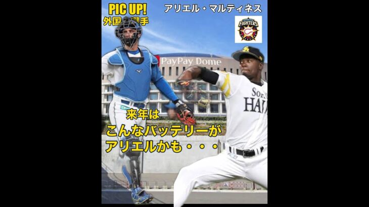 【コスパ最強】外国人選手アリエル・マルティネス◼️#野球 #日本ハム #プロ野球 #アリエルマルティネス #ランキング