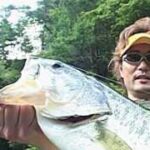 池原湖のブラックバス釣り／2012夏／後編（下北山村アーカイブ 2012－05） Black bass fishing in “Ikehara Dam”